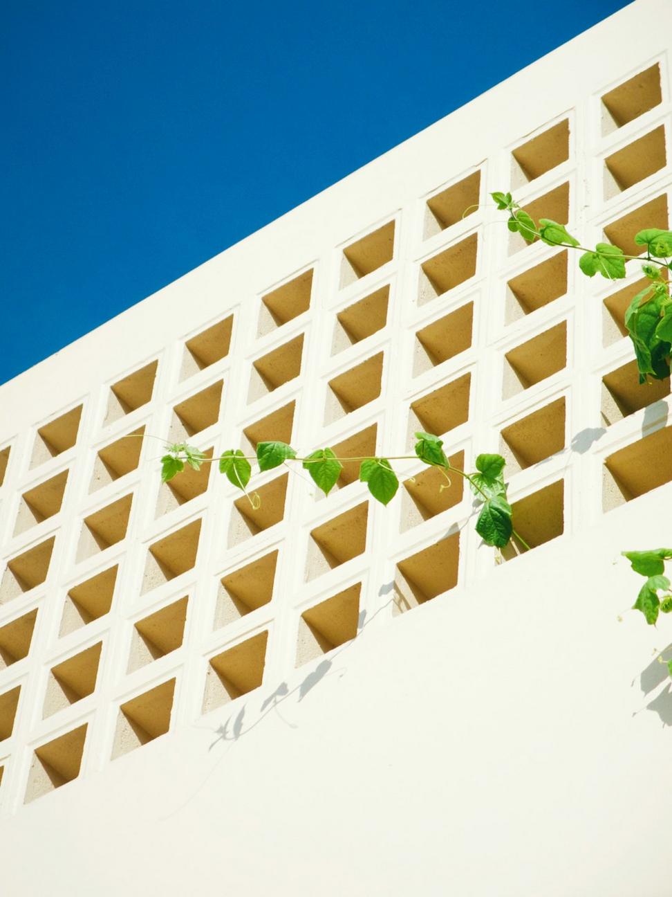 EcoFlame Case Study