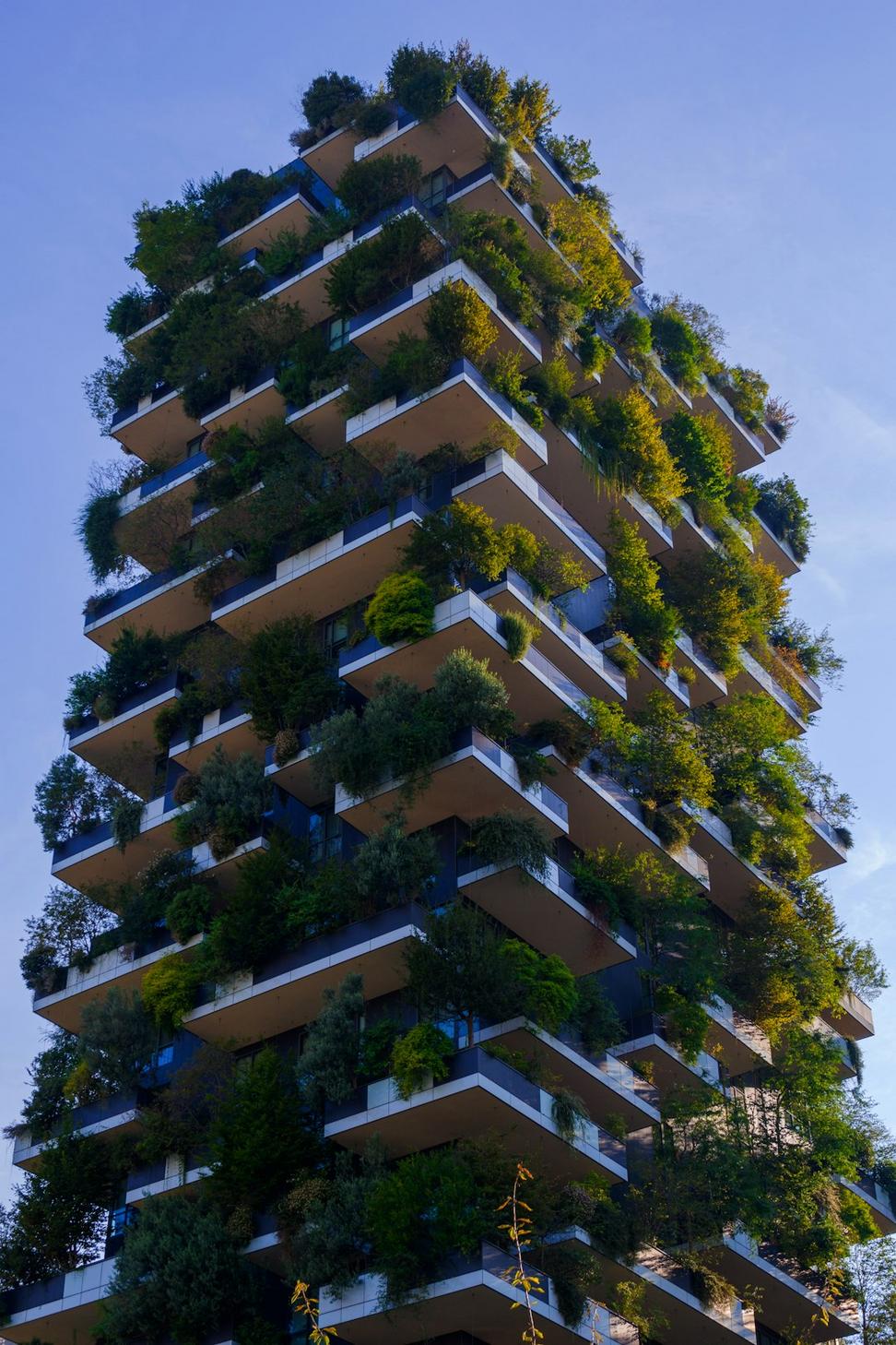Sustainable Fire-Resistant Home